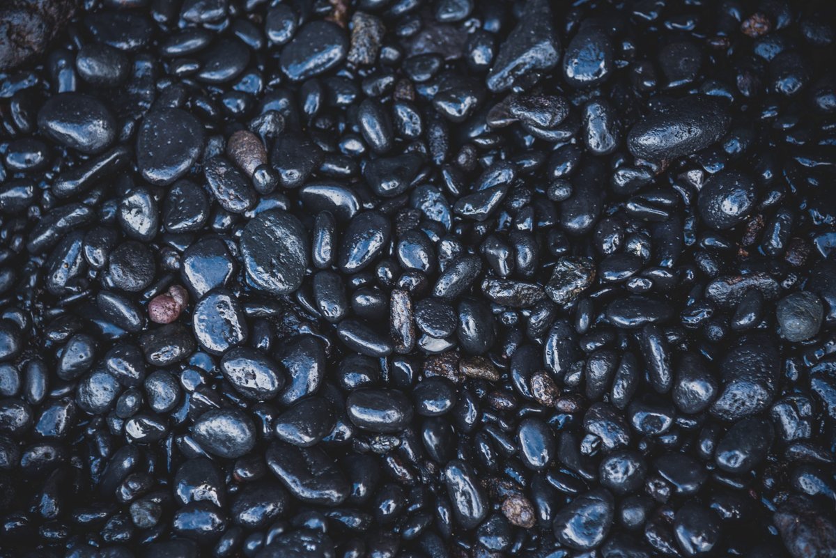 Black Cat In Dream Spiritual Meaning: What Does It Mean?