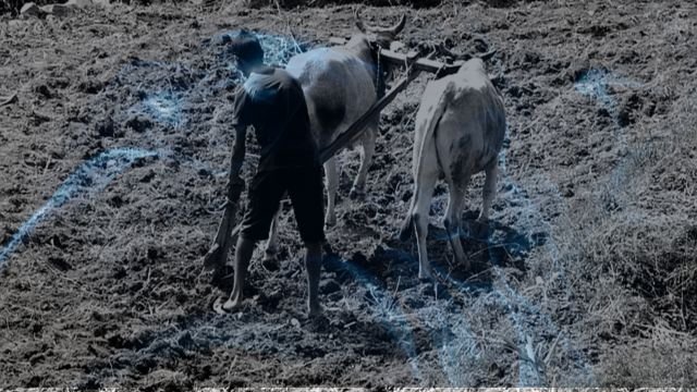 What Does Dreaming About Swimming Really Say About You?